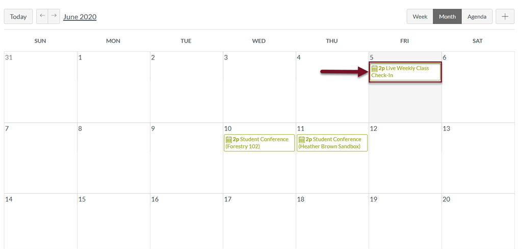 An image of the canvas calendar and an arrow pointing to an appointment created in the previous step of the document