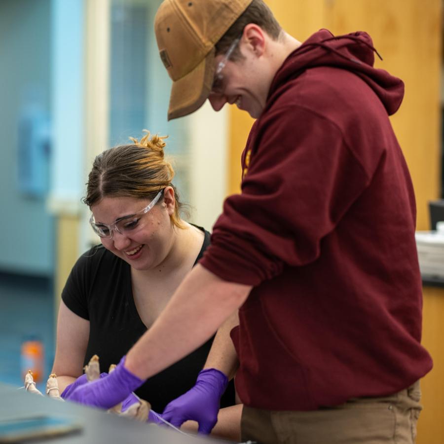 2 students in Biology lab working together