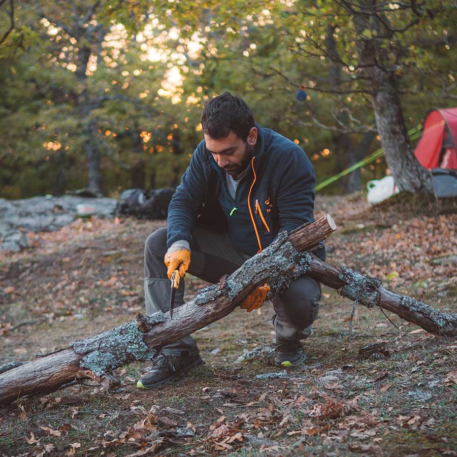 Forestry worker cutting a tree branch for study