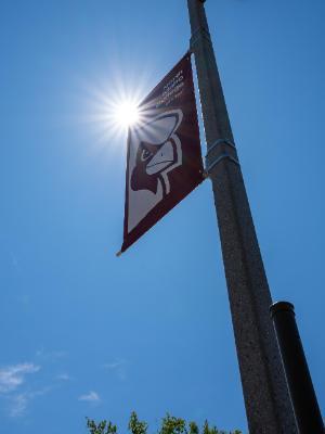 Cardinal banner on pole on campus