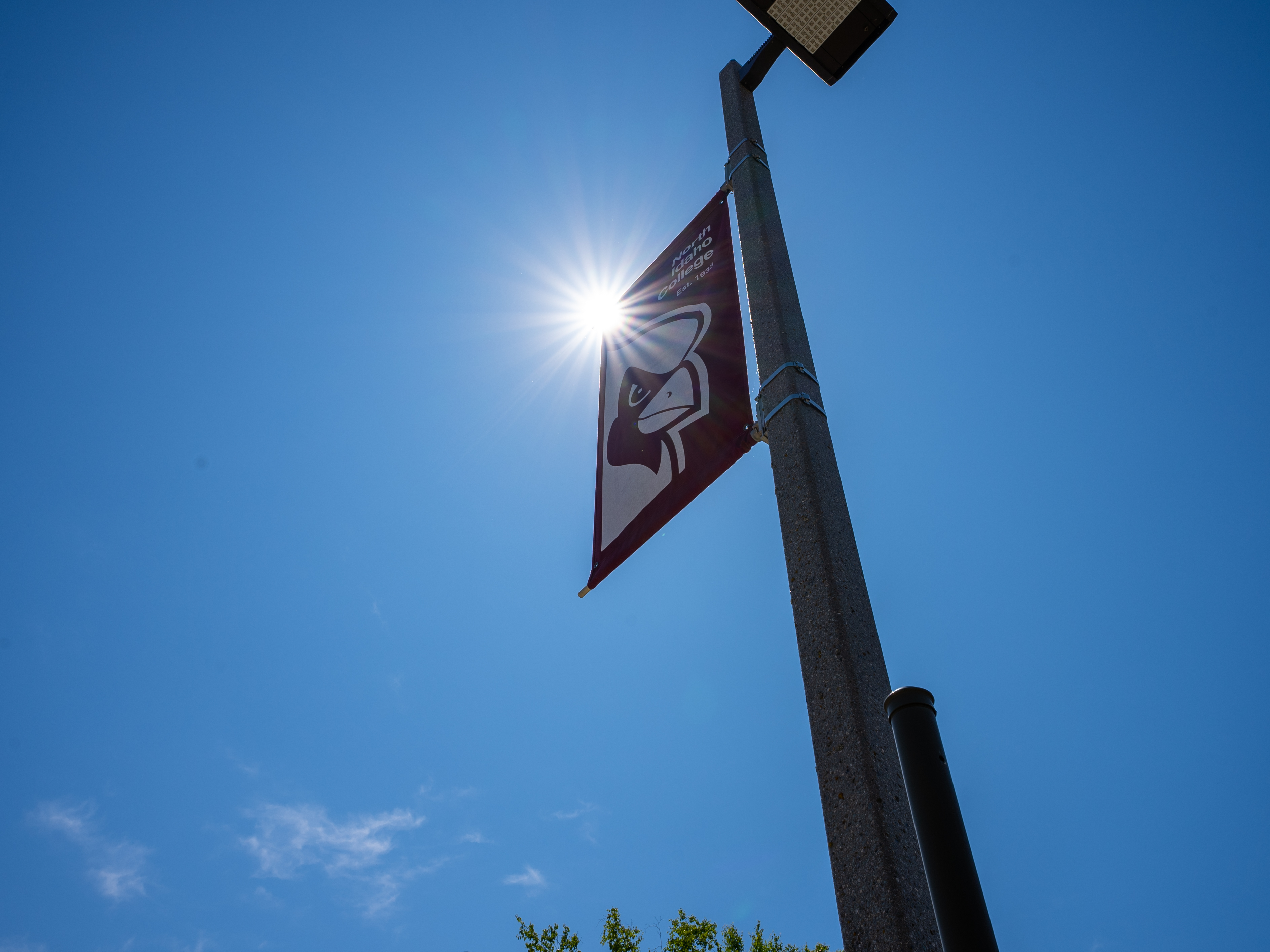 Cardinal banner on a campus light pole
